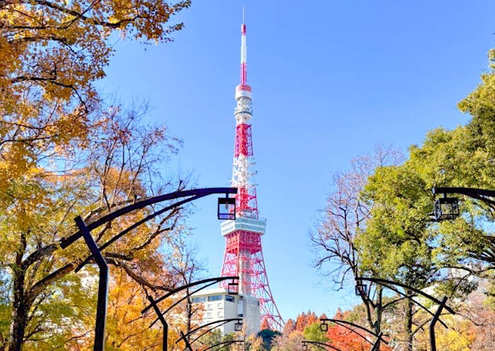 Tokyo Tower in Fall Tokyo Tower in Fall