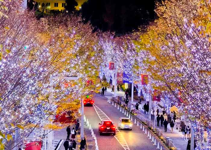 Tokyo Winter Illuminations