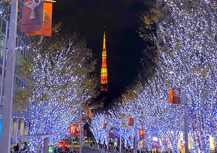 Tokyo Winter Illuminations
