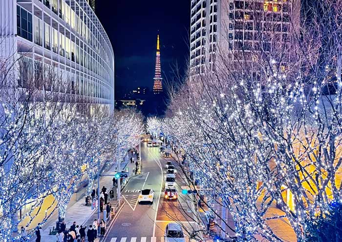 Tokyo Winter Illuminations in Roppongi Hills