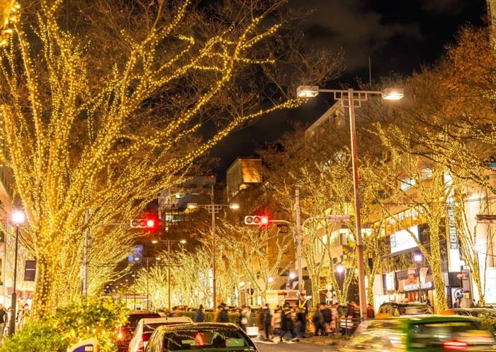 Tokyo Winter Illuminations in ILLUMILIA