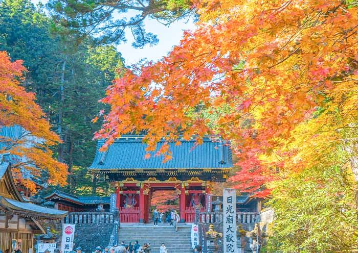 Toshogu Shrine, Nikko