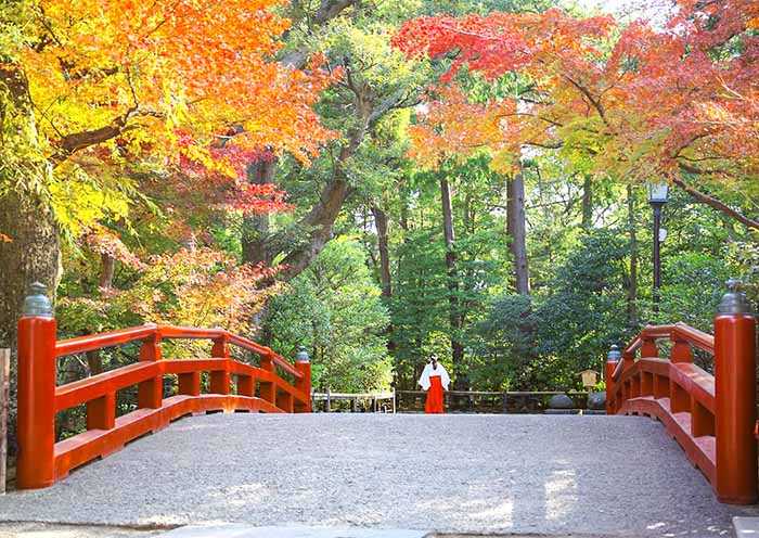 Tsurugaoka Hachimangu Shrine