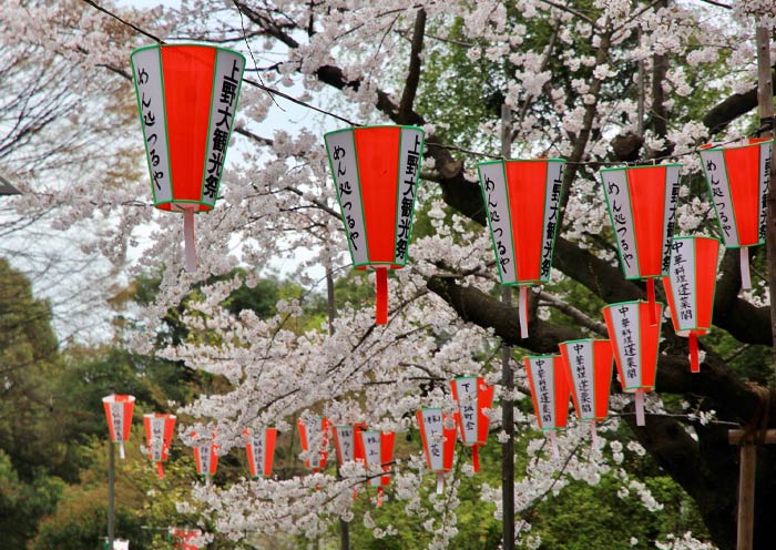 Tokyo Ueno Park in spring Tokyo Ueno Park in spring