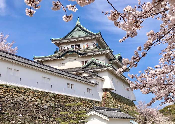 Wakayama Castle, Kansai