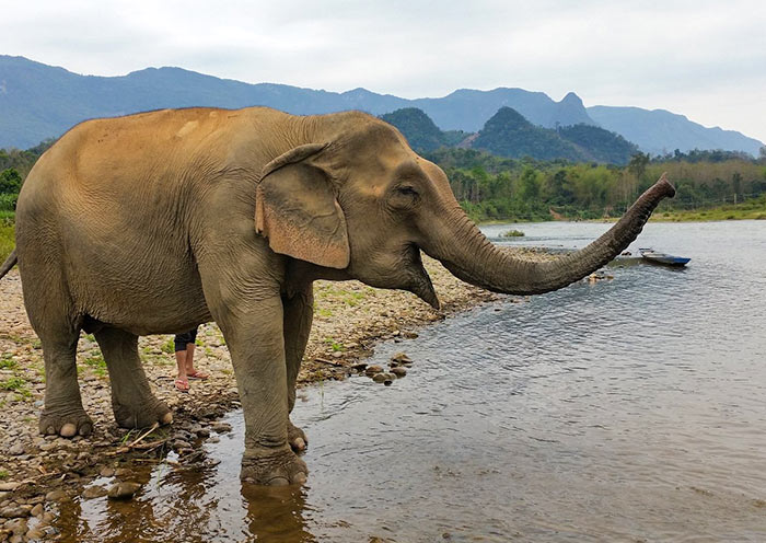 Land of a Million Elephant - Laos