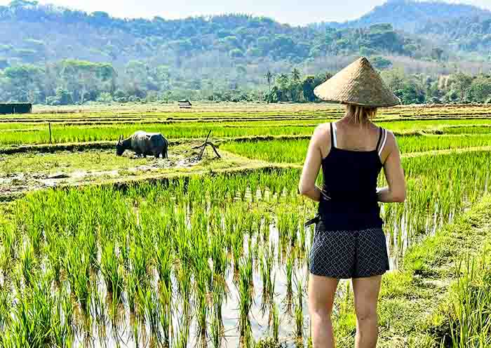 laos tour