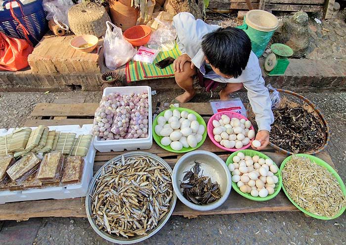 Local Market, Luang Prabang