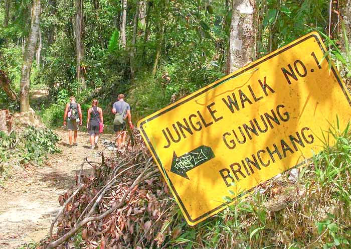 Gunung Brinchang in Cameron Highlands  