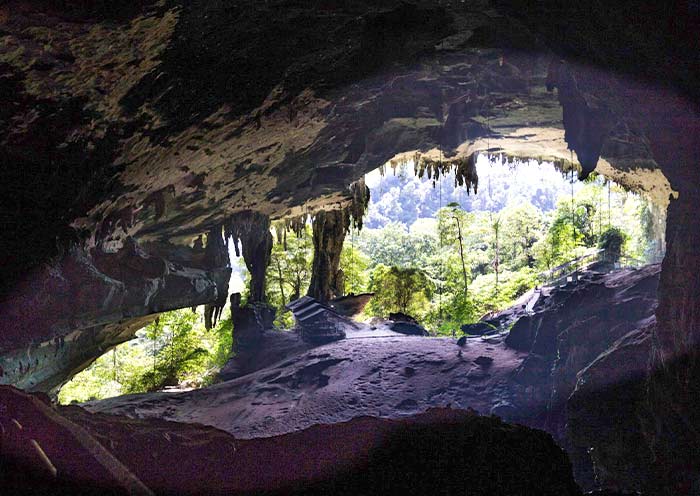 Gunung Mulu National Park