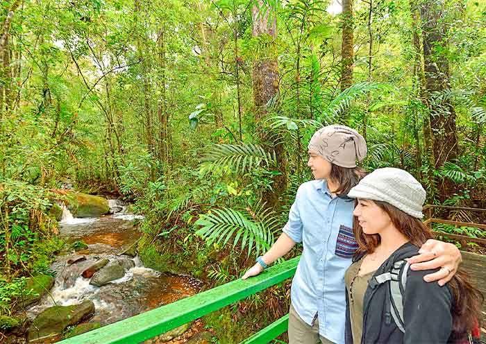 Kinabalu National Park