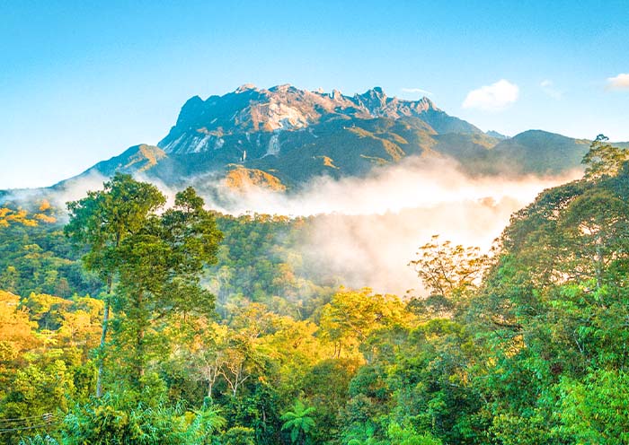 Kinabalu National Park