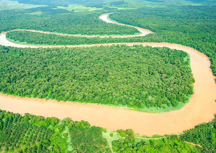 Kinabatangan River 