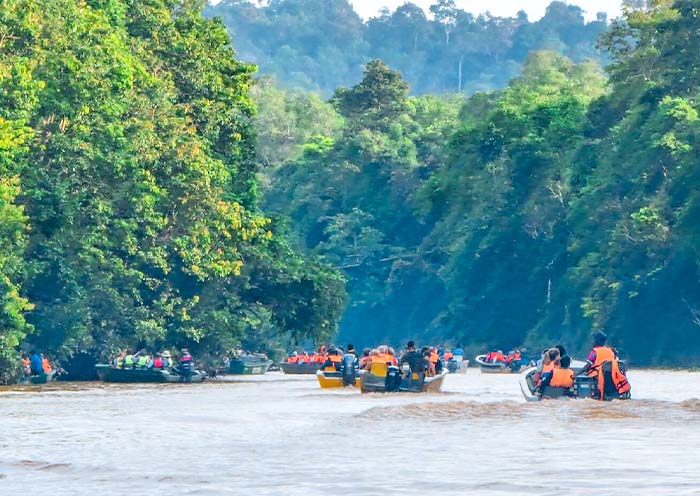 Kinabatangan River 