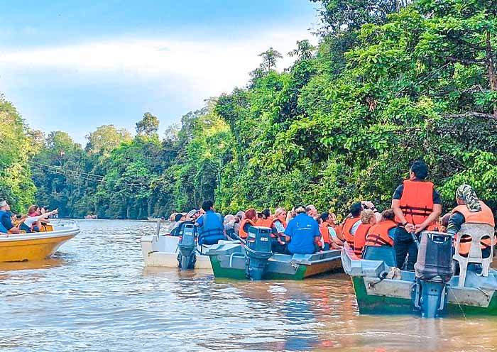 Kinabatangan River Cruise 