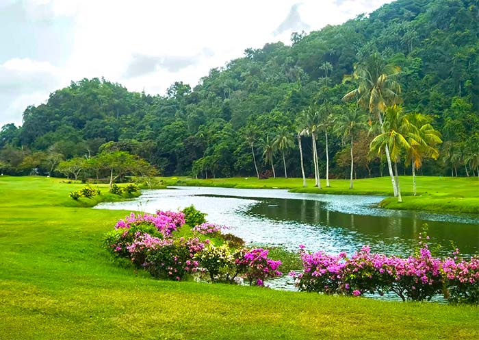 Nexus Golf Resort Karambunai Nexus Golf Resort Karambunai