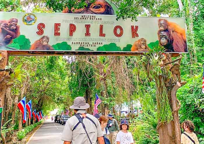 Sepilok Orangutan Rehabilitation Centre