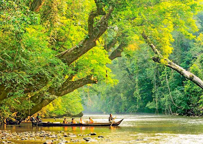 Taman Negara National Park 