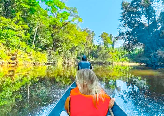 Taman Negara National Park