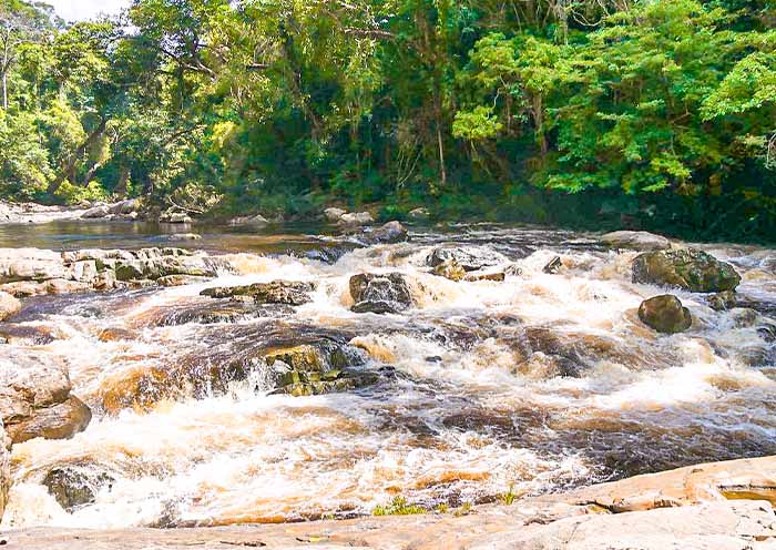 Taman Negara National Park 