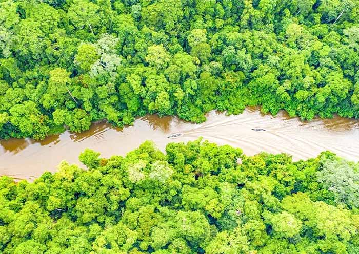 Taman Negara National Park 