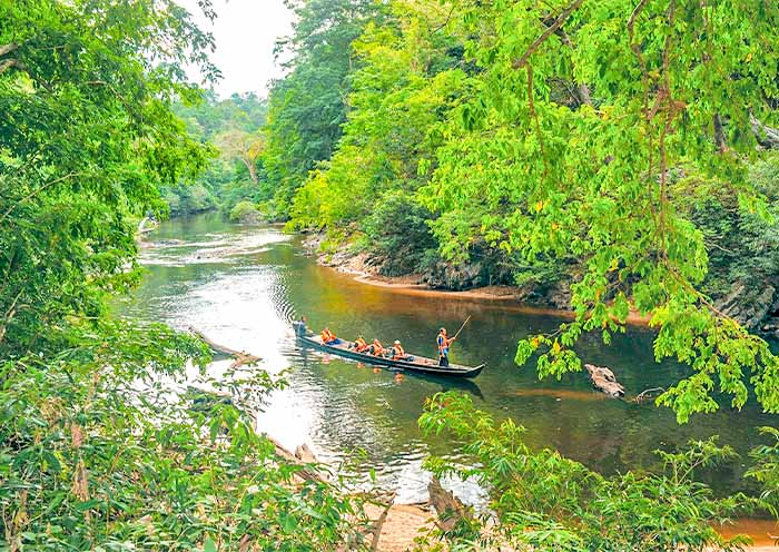 Taman Negara National Park