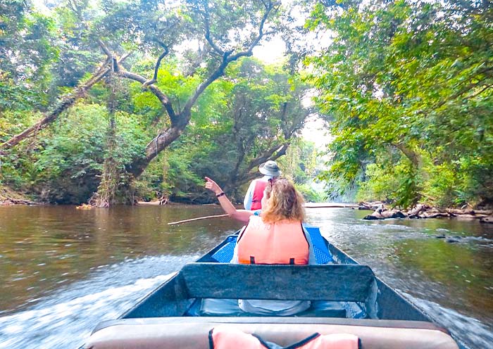 Taman Negara National Park 
