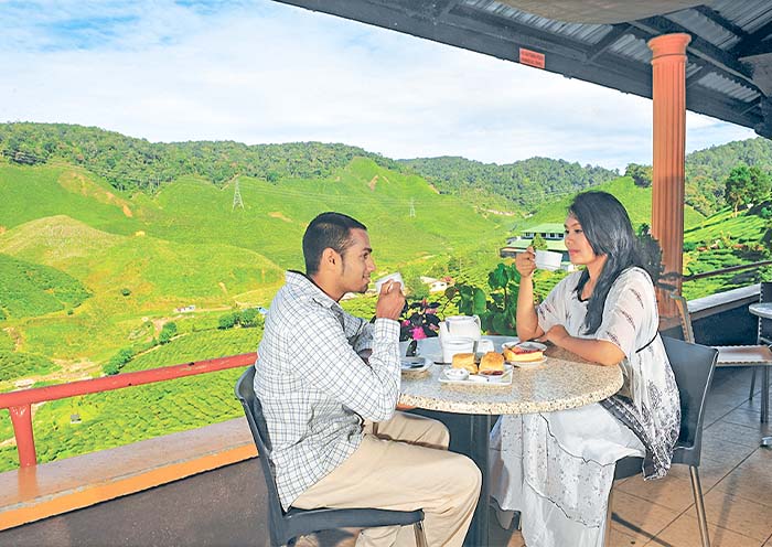Tea plantation & Factory in Cameron Highlands