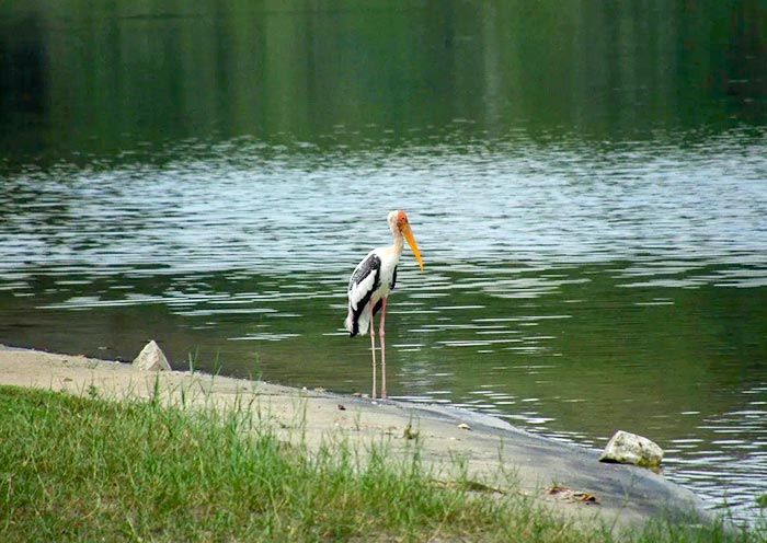 The Mines Resort & Golf Club