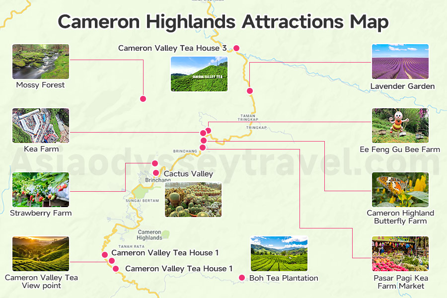  Cameron Highlands Attractions Map 