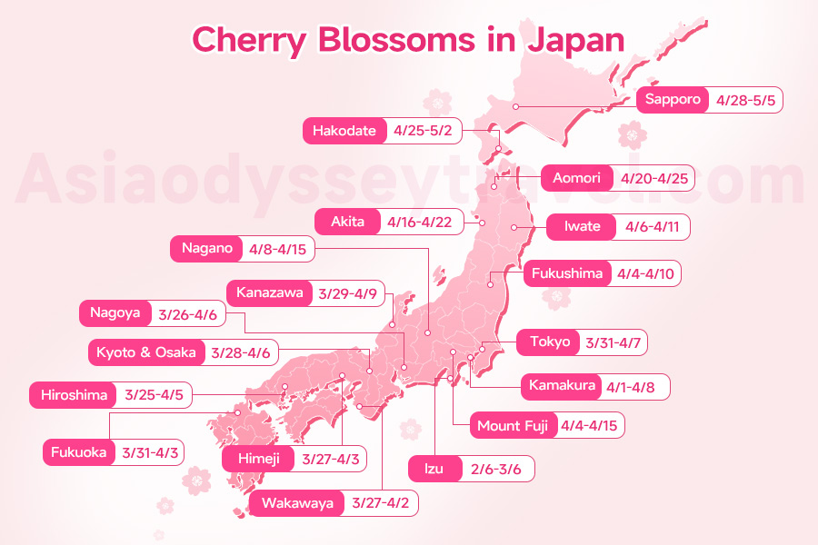 Japan Cherry Blossoms Map