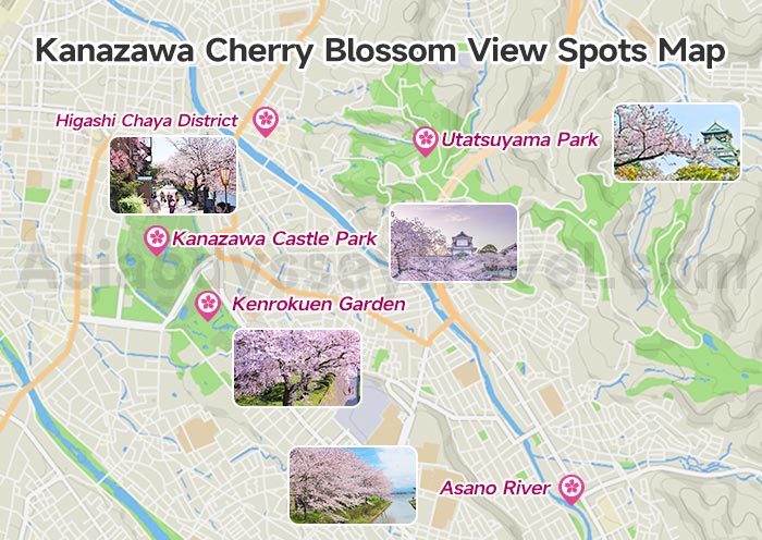 Kanazawa Cherry Blossom Map