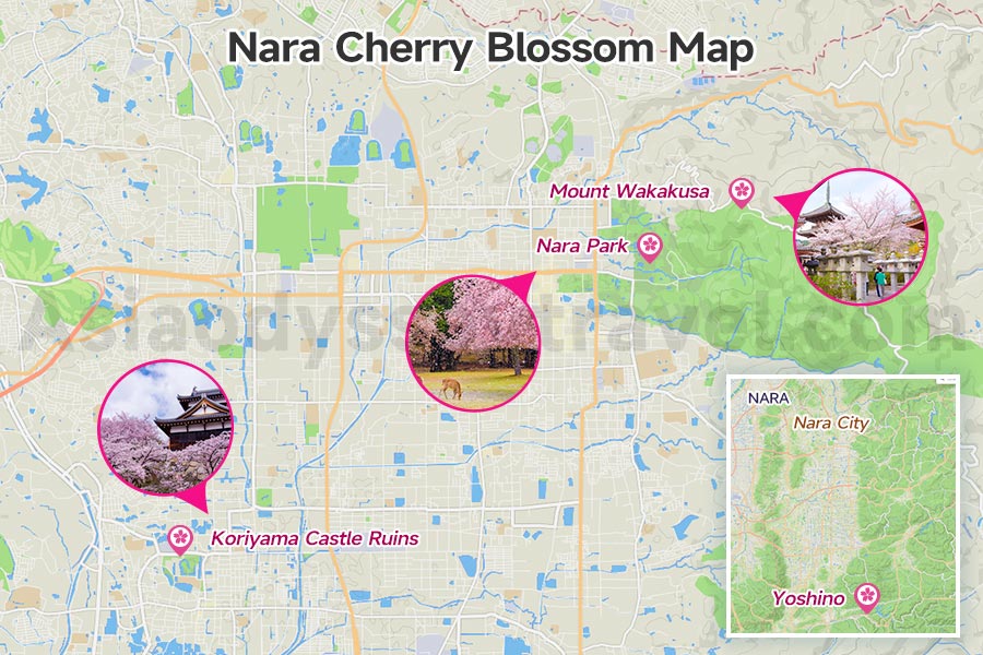 Nara Cherry Blossom Map