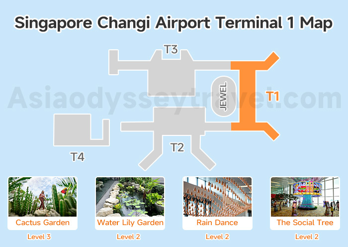 Singapore Changi Airport Terminal 1 Map