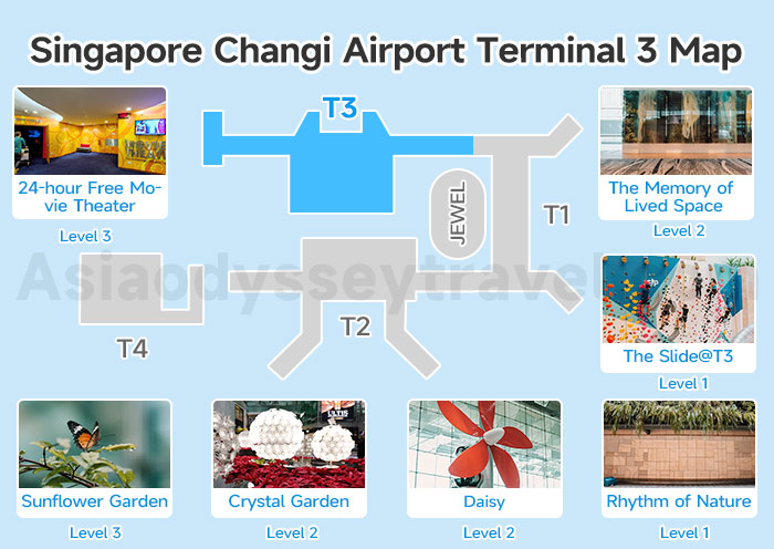 Singapore Changi Airport Terminal 3 Map