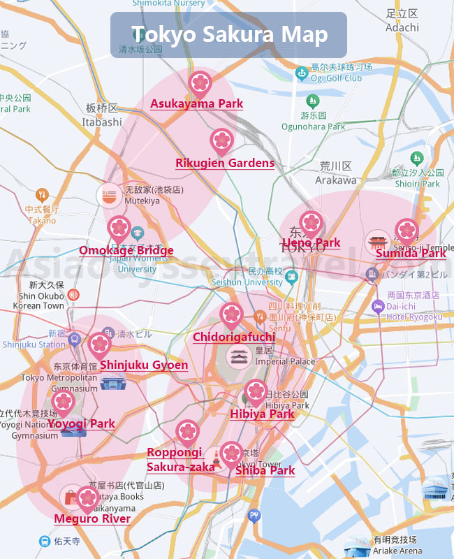 Tokyo Sakura Map