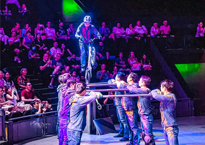 Shanghai Incentive Travel for Acrobatic Show