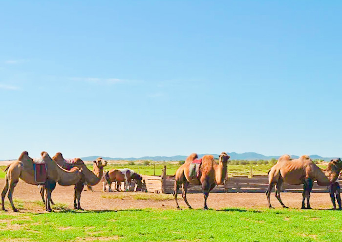 the largest national park in Mongolia