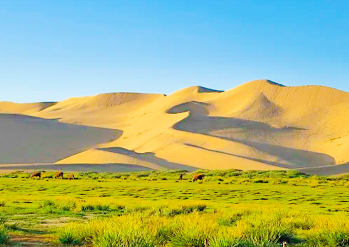 Gobi Gurvansaikhan National Park