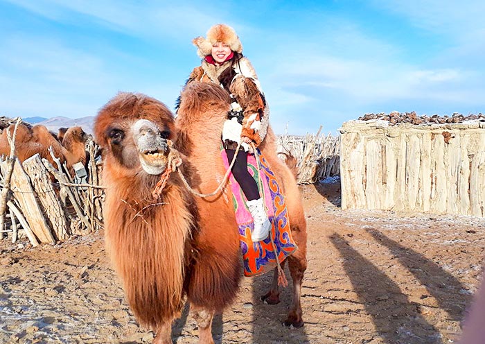 Attend Golden Eagle Festival 