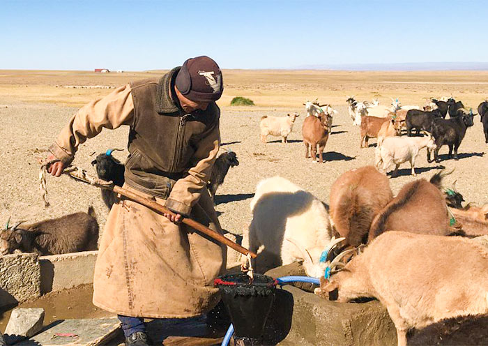 View Local Life at Hustai National Park