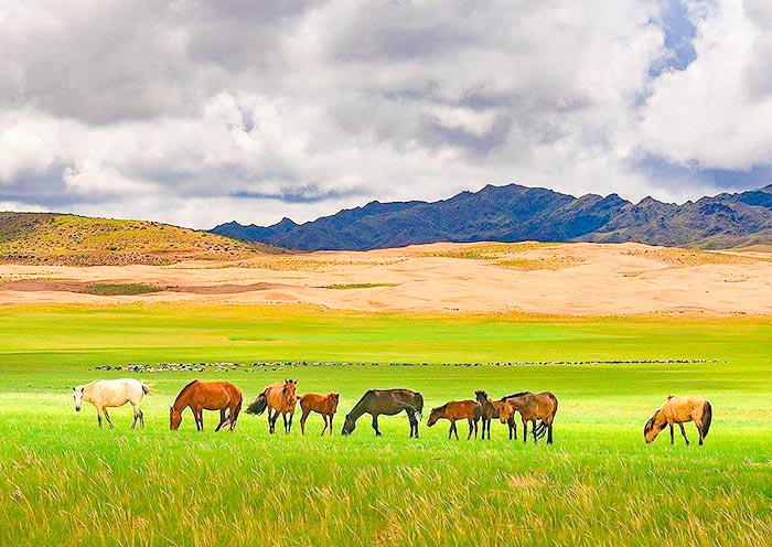 Khongor Sand Dunes, Mongolia