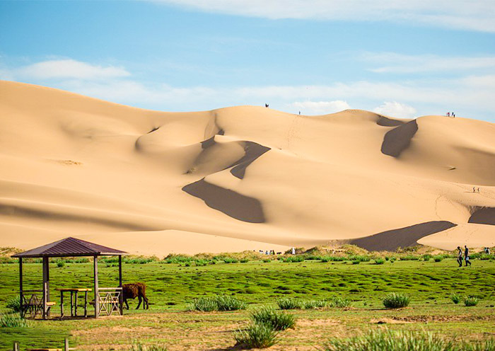 Visit Khongor Sand Dunes