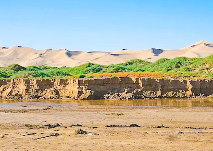 Khongor Sand Dunes