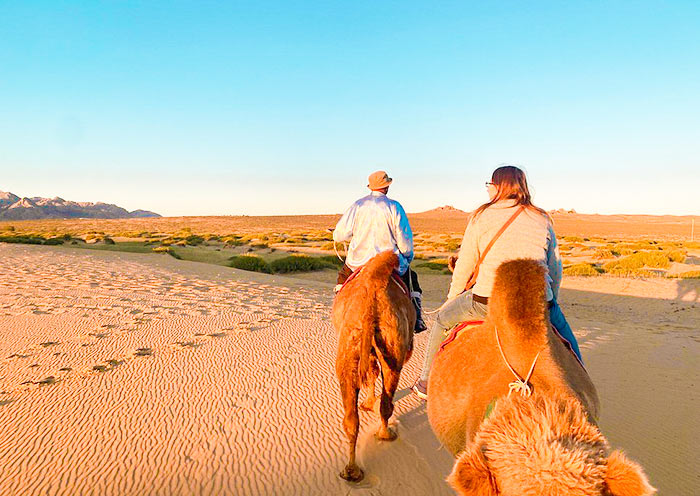 Camel Riding at Khongoryn Els Sand Dunes
