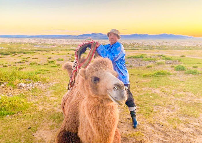 Mongolia Tours 