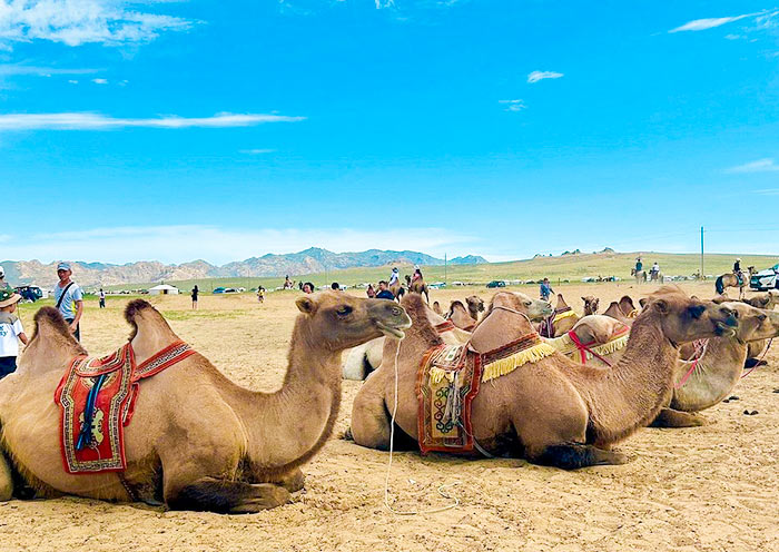 Visiting Nomadic Families at the sand dunes