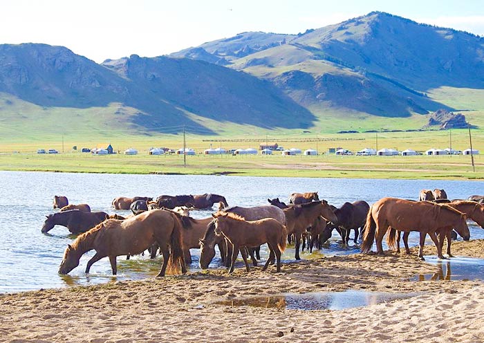 Khorgo-Terkh National Park