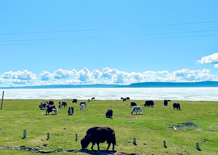 Lake Khövsgöl Beautiful View