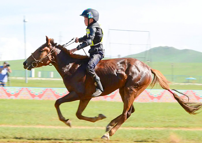 Naadam horse racing
